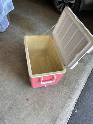 Photo of free Cooler (Bothell, Maywood Hill)