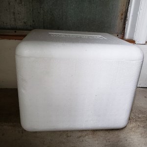Photo of free Styrofoam cooler boxes (Gulph Mills)