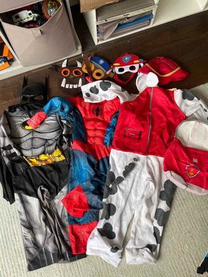 Photo of free 4 x Dress up costumes for 3-4 year old (Woodingdean BN2)