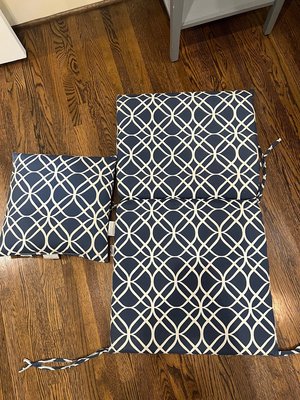Photo of free Chair cushion and pillow (Charlotte)
