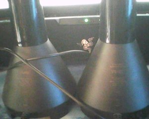 Photo of free desktop speakers an subwoofer (bellevue nebraska)