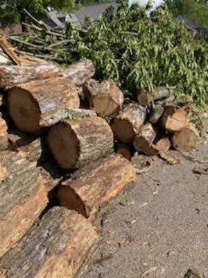 Photo of free fire wood (Forest Lakes)