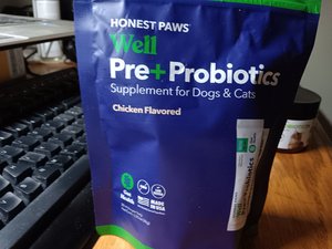 Photo of free Cat Probiotic Supplements (Ballard)