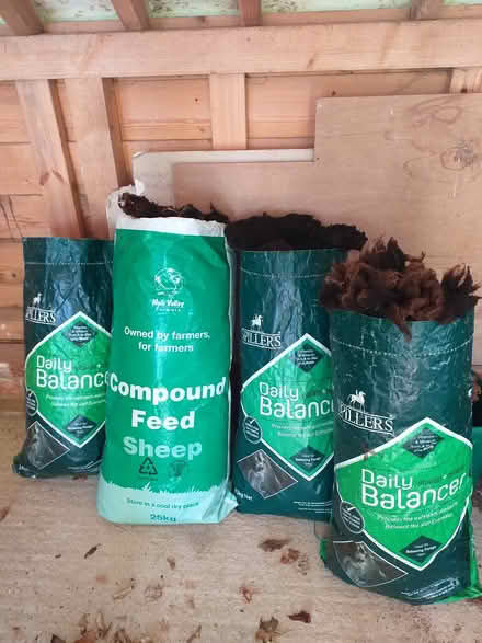 Photo of free Sheep fleece for garden/allotment (Petersfield, GU32) #2