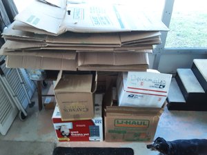 Photo of free Moving Boxes (US19 & Nursery Road)