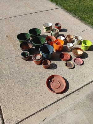 Photo of free plastic and pottery pots (northwest westland.)