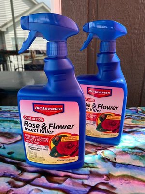 Photo of free Rose & flower insect killer (Northfield Village)