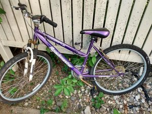 Photo of free Adult bicycle (Northeast Fort Wayne)