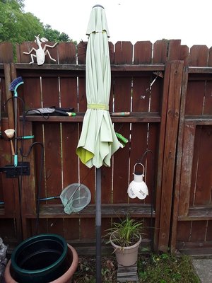 Photo of free 9 foot patio table umbrella (Ft Eustis)