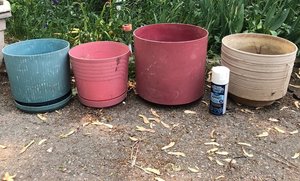 Photo of free Large plant pots (Kitchener)