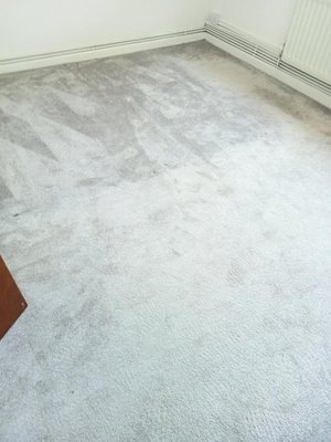Photo of free Carpet & underlay (BH13)