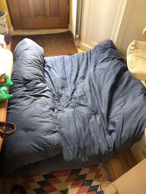 Photo of free Old double futon mattress (Walkley, S6)