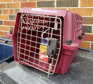 Photo of free Small pet carrier (St. Clair & Bathurst)