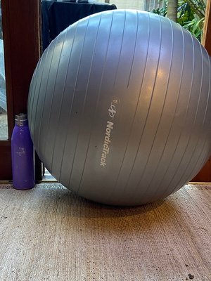 Photo of free Fitness ball large (Newtown)