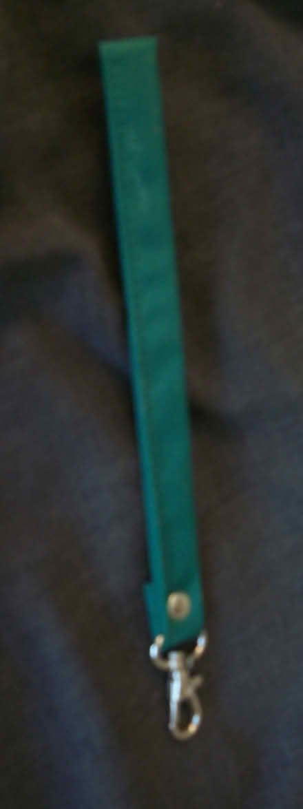 Photo of free 6 Keychains (Oakland) #3