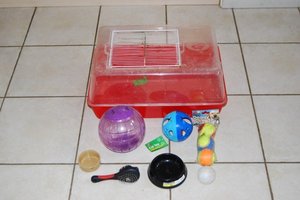Photo of free Small pet accessories (Lee-on-the-Solent PO13)