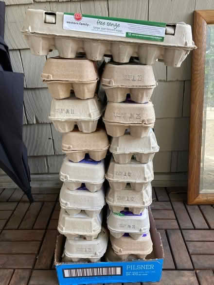 Photo of free 20 Egg cartons (East Vancouver) #1