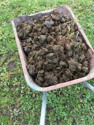 Photo of free Horse manure rotted for 6/8 months (Horsforth LS18)