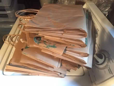 Photo of free Paper Bags (Belmont) #1