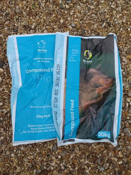 Photo of free 20kg strong bags - for garden waste (Petersfield, GU32) #1