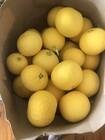 Photo of free (Edited by Moderator) Offer: Lemons and grapefruit: CHIFLEY