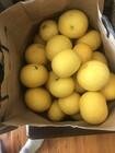 Photo of free (Edited by Moderator) Offer: Lemons and grapefruit: CHIFLEY
