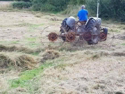 Photo of free meadow hay (Hereford area) #1
