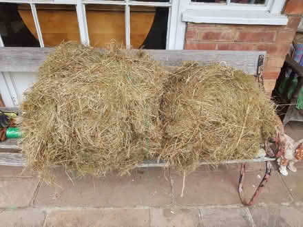 Photo of free meadow hay (Hereford area) #2