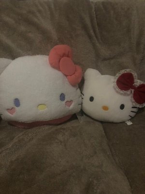 Photo of free Two plushes of Hello kitty (Whins of Milton FK7)