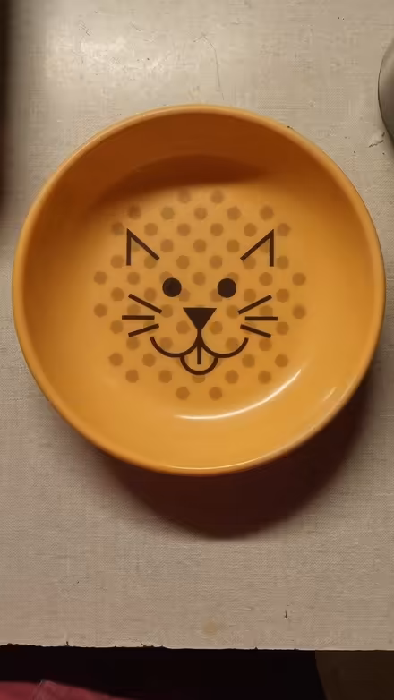 Photo of Ecoware salmon-colored cat bowl (Town of LaGrange) #2