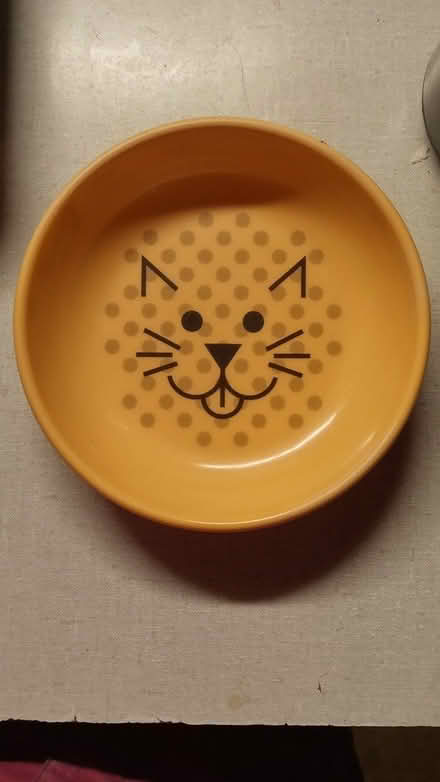 Photo of Ecoware salmon-colored cat bowl (Town of LaGrange) #2