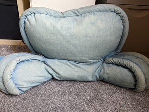 Photo of free Husband pillow (Longton PR4)