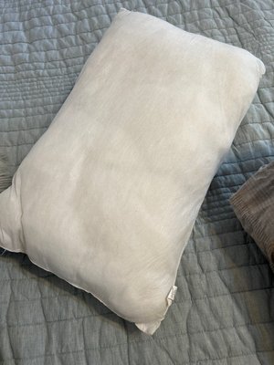 Photo of free Comforter, pillows, insert (Beverly Grove in Los Angeles)