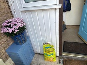 Photo of free Corn cat litter / bird food (BH8 Bournemouth)