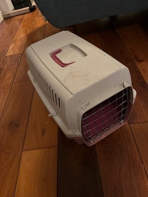 Photo of free Cat/Dog Box (Stoneybatter)