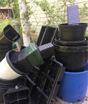 Photo of plastic nursery pot (Grafton)