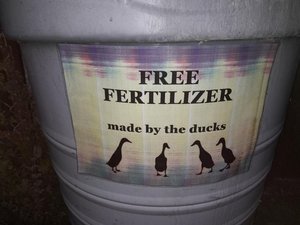 Photo of free Liquid "fertilizer" (OX10 Cholsey)