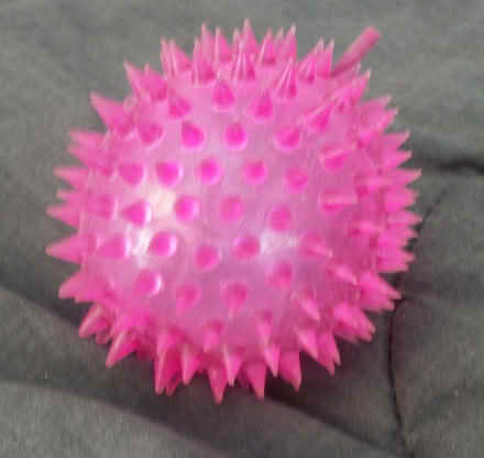 Photo of free Spiky Ball Toy (Oakland) #1