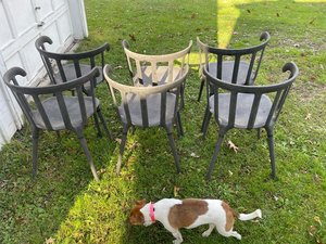 Photo of free 2 outdoor chairs (Gardiner)
