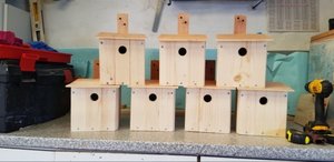 Photo of free Bird boxes (Kirkcaldy KY2)