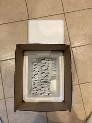 Photo of free Small styrofoam cooler w/ ice packs (Arlington, VA)