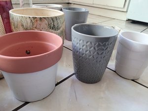 Photo of free Vase/Pots for Plants (Hayward)