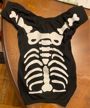 Photo of free Dog Skeleton Suit (North Hollywood CA)