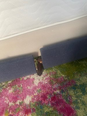 Photo of free Queen headboard (Chevy Chase, DC)