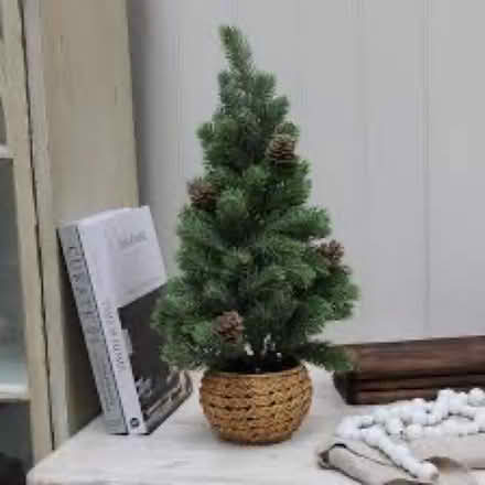 Photo of Small or pencil Christmas tree (Balgriffin) #3