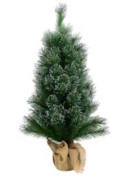 Photo of Small or pencil Christmas tree (Balgriffin) #4