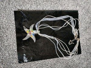 Photo of free Star necklace (Heatherside)