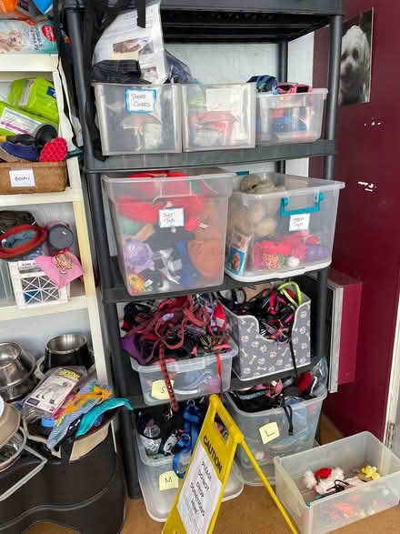 Photo of free pet supplies (Norwalk,Ct)