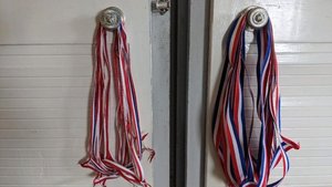 Photo of free Medal Ribbons (GU12)