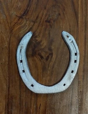 Photo of free Horse shoe (BH9)